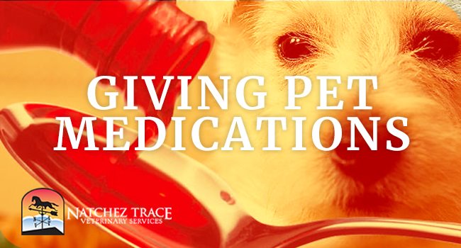 Image for Giving Pet Medications
