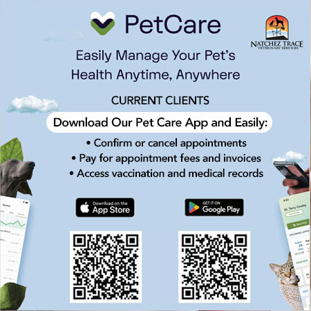 PetCare app by DaySmart Vet