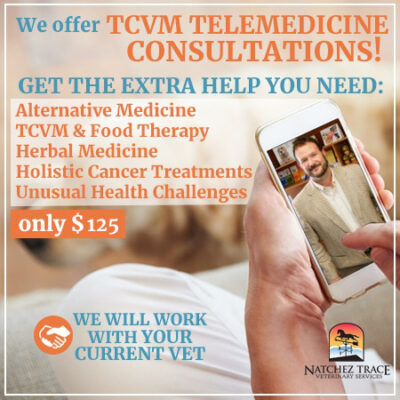 TCVM Telemedicine Consultations Offer