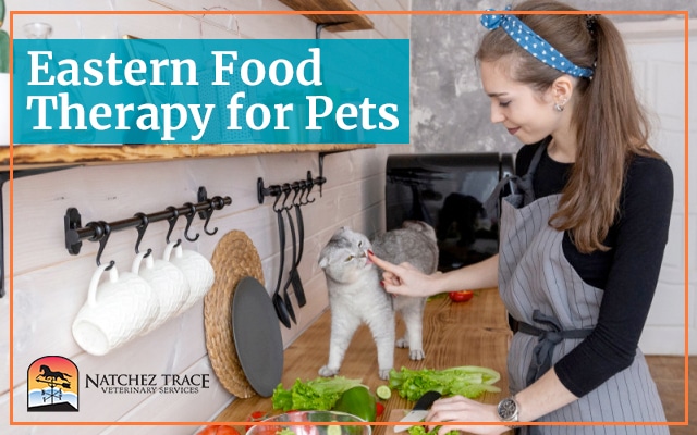 Food-Therapy-640X400.jpg