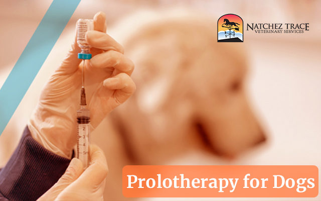 Prolotherapy 640X400 1