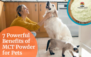 7-Powerful-Benefits-of-MCT-powder-for-pets