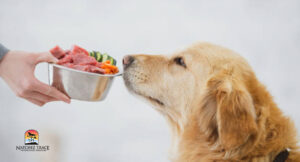 Specialized Diet Dysautonomia in Dogs
