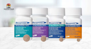 Deramaxx medication for dog arthritis