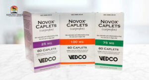 Novox medication for dog arthritis