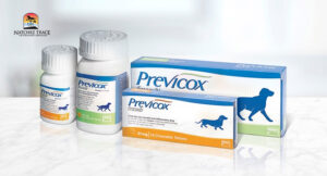 Previcox medication for dog arthritis