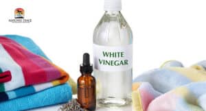 white vinegar for your dog's itchy skin | homemade dog anti itch spray