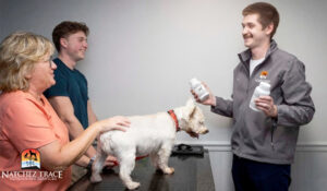 talking to vet about taking the right supplements