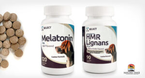 K9 Select Melatonin and HMR Lignans for dogs with Cushing's Disease