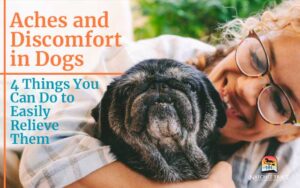 aches-and-discomfort-in-dogs
