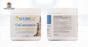 Ayush CoCurcumin