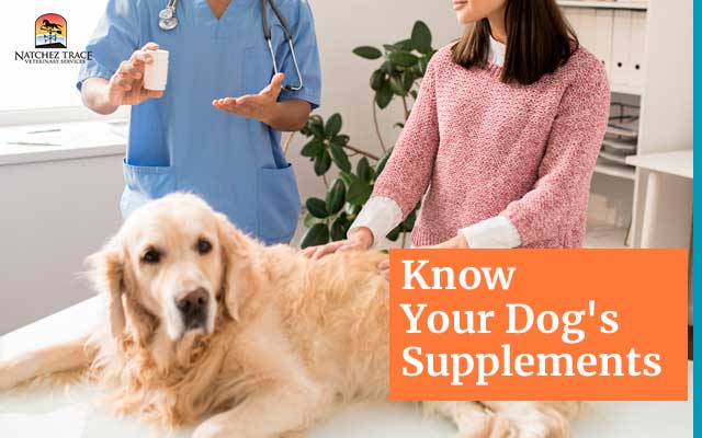 Know your dogs supplements 640X400