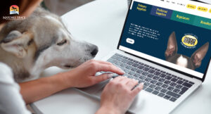 Looking at NASC website with dog