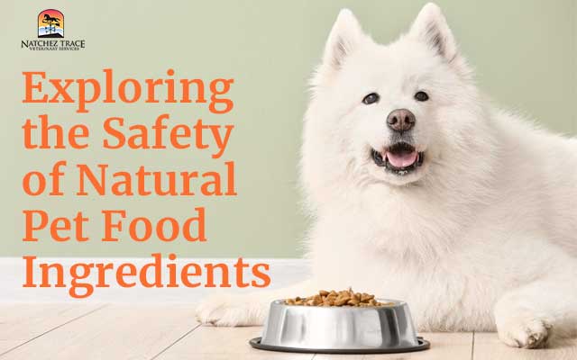 Natural Pet food Ingredients