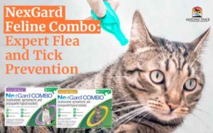 NexGard Feline Combo expert flea and tick prevention
