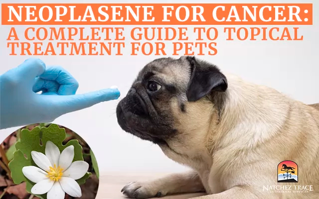 Neoplasene for cancer-a complete guide to topical treatment