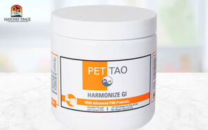PET | TAO Harmonize GI Supplement 