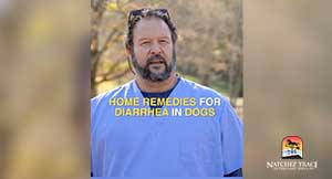 screenshot of Dr Smiths video on home remedies for dog diarrhea