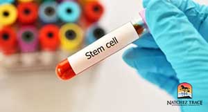 isolation-and-cultivation-of-stem-cells