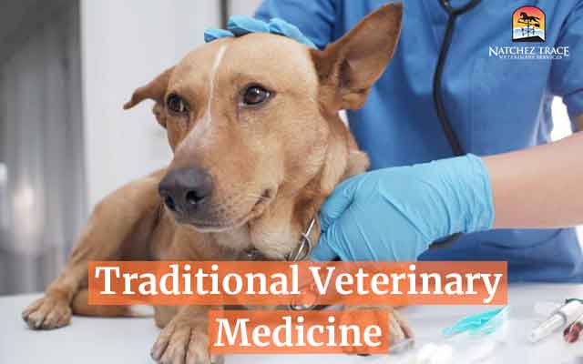 Traditional Veterinary Medicine