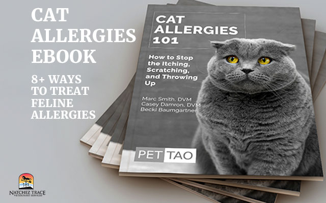Cat-Allergies-Ebook--8+-Ways-to-Treat-Feline-Allergies