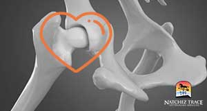 improved joint function in dogs