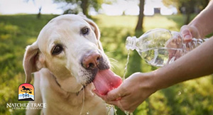 Dog-hydrating