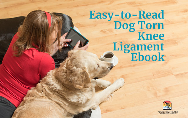 Easy-to-Read Dog Torn Knee Ligament Ebook