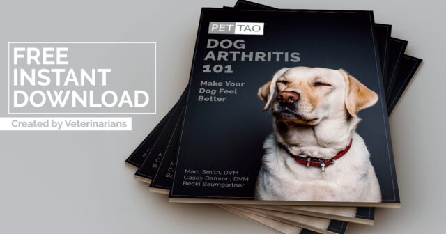 Dog Arthritis Ebook Graphic for free dog arthritis ebook