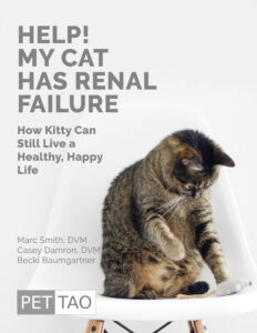 Get Your Free Cat Renal Failure Ebook & Help Your Cat Feel Better Today Book Cover