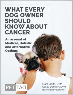 What Every Dog Owner Should Know About Cancer Ebook Cover