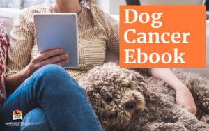 What Every Dog Owner Should Know About Cancer - Instant Ebook Download