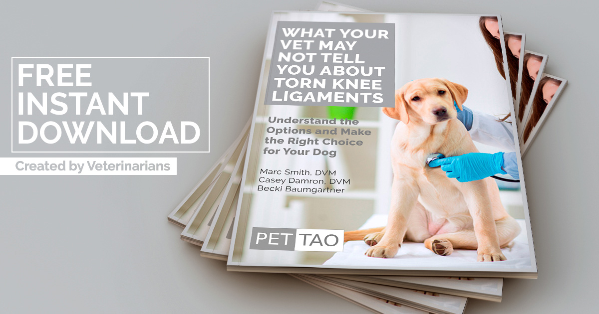 What-Your-Vet-May-Not-Tell-You-About-Torn-Knee-Ligaments-Ebook-Graphic