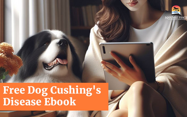 Free-Dog-Cushing's-Disease-Ebook