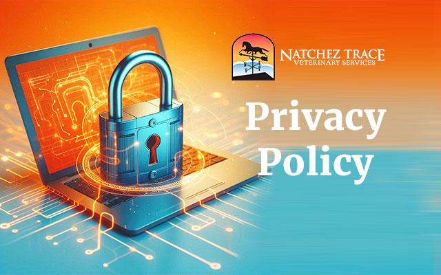 NTVS-Privacy-Policy