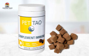 PET | TAO Complement immune, immune booster for dogs, helps kennel cough