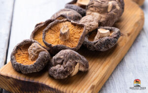 shiitake mushrooms for Dog and Cat Immunity