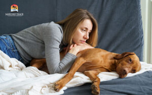 Seizures-in-pets-require-careful-attention