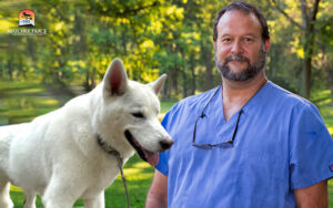 Dr. Smith helps Prince overcome canine vitamin D deficiency