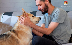 Strengthened Bond with Owners