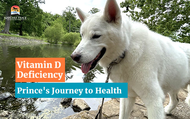 Vitamin D Deficiency: Prince's Journey to Health