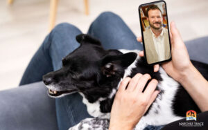 Second opinion telemedicine consultations with holistic veterinarian Dr. Marc Smith