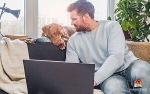 Virtual Vet Consults for Anxious Pets