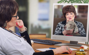 Woman with anxious dog talking to vet