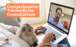 Comprehensive Telemedicine Consultations with holistic veterinarian Dr. Marc Smith