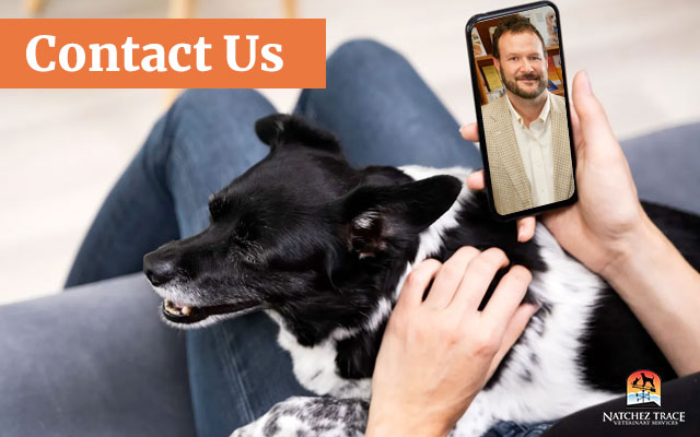 Natchez Trace Veterinary Services