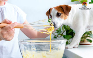 child making treats while dog watches