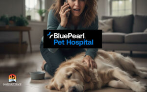 woman calling emergency vet while dog lays on the floor