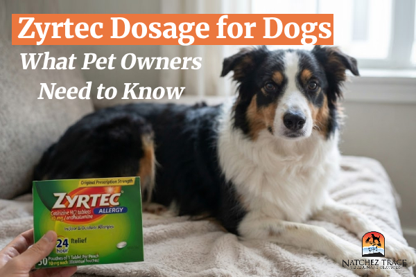 Zyrtec Dosage for Dogs: Uses, Safety, and Side Effects